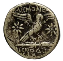 coin rev