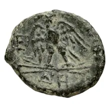 coin rev