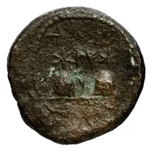 coin rev