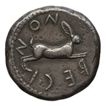 coin rev