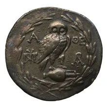 coin rev