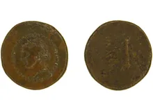 coin rev