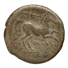 coin rev