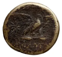 coin rev