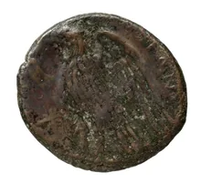 Hicetas rev