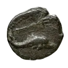 coin rev