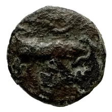 coin obv
