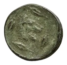 coin rev