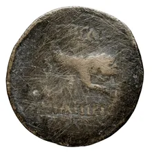 coin rev