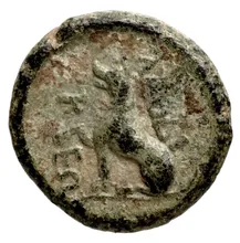 coin rev