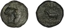 coin rev