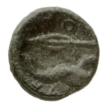 coin rev
