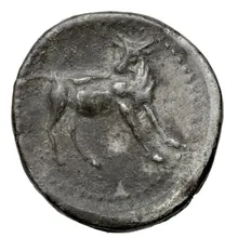 coin rev