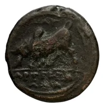 coin rev