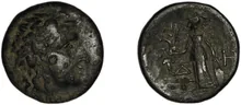 coin rev