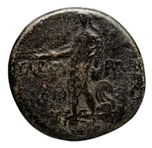 coin rev