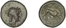coin rev