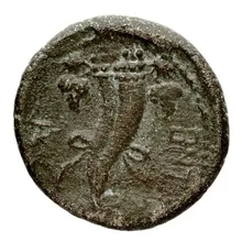 coin rev