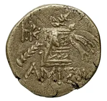 coin rev