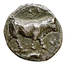 coin rev