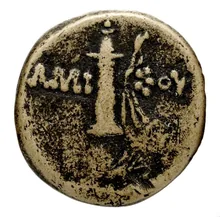 coin rev