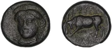 coin rev