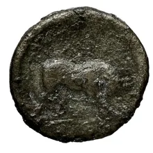 coin rev