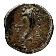 coin rev