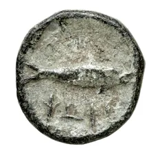 coin rev