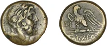coin rev