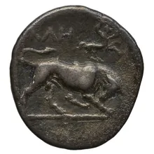 coin rev