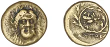 coin rev