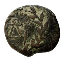 coin rev
