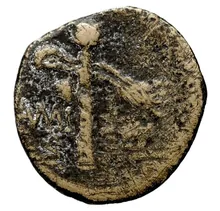 coin rev