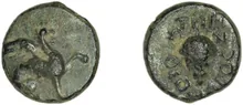 coin rev