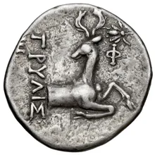 coin rev