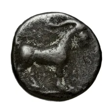 coin obv