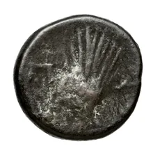 coin rev