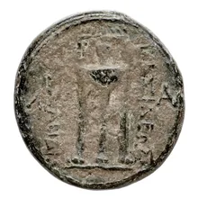 coin rev