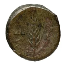 coin rev