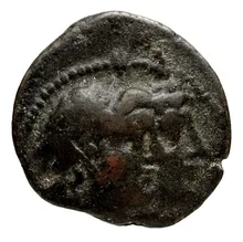 coin obv