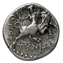 coin rev