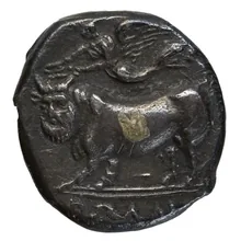 coin rev