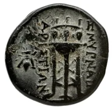 coin rev