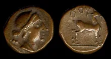 coin rev