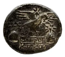 coin rev