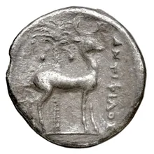 coin rev