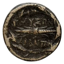 coin rev