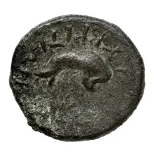 coin rev