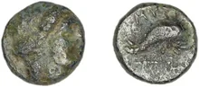coin rev